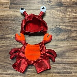- Dog lobster costume size XS